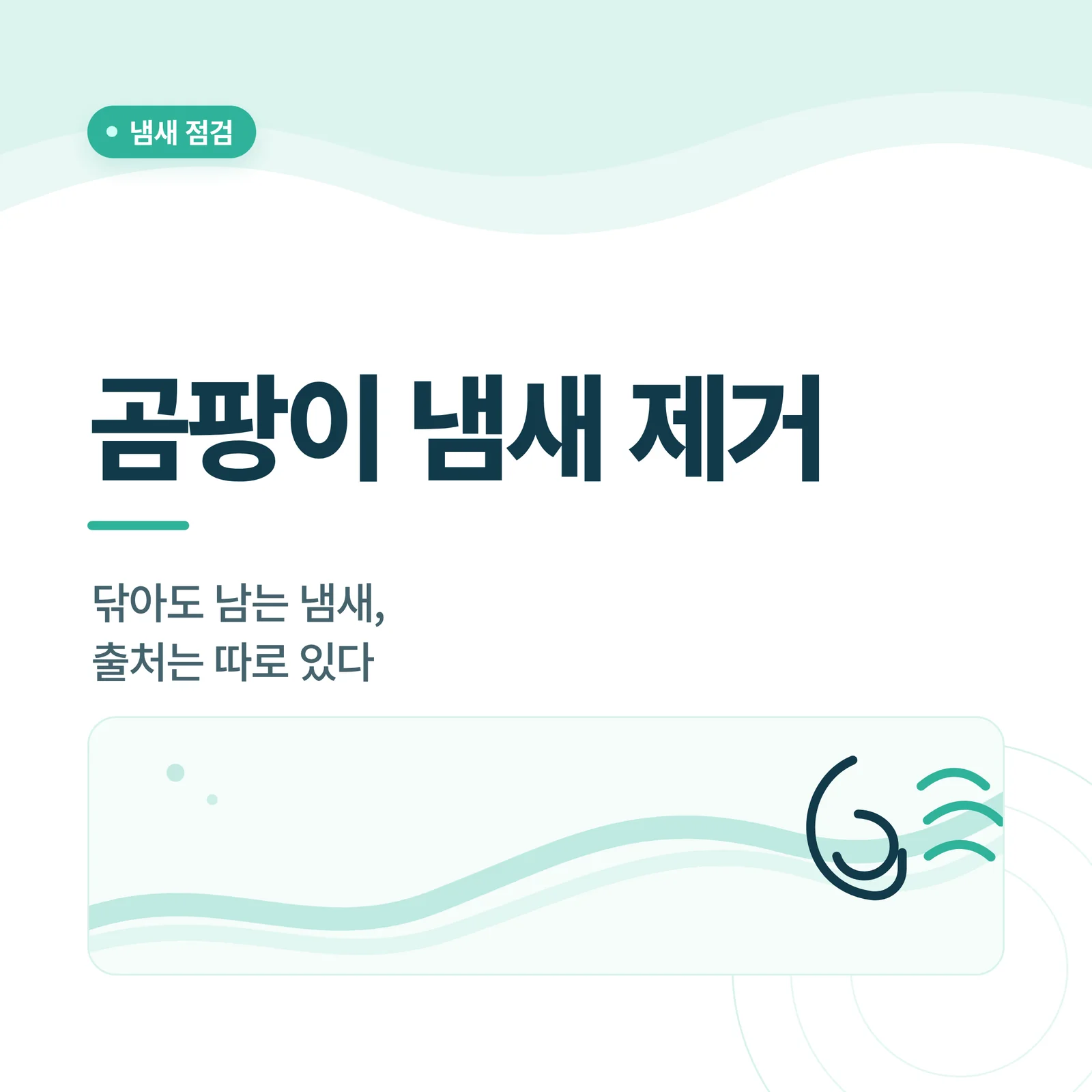 욕실 곰팡이 원인 안내